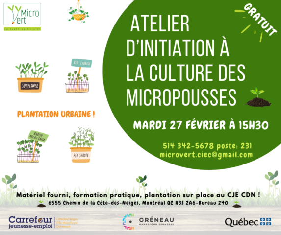 Atelier d’initiation à la culture des micropousses | Mardi 27 février à 15h30