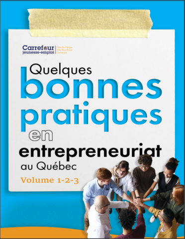 Quelques bonnes pratiques en entrepreneuriat au Québec (5 volumes)