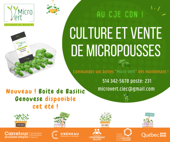 CIEC-AGRI 2024: Boîtes de Basilic Genovese disponibles cet été au CJE CDN !
