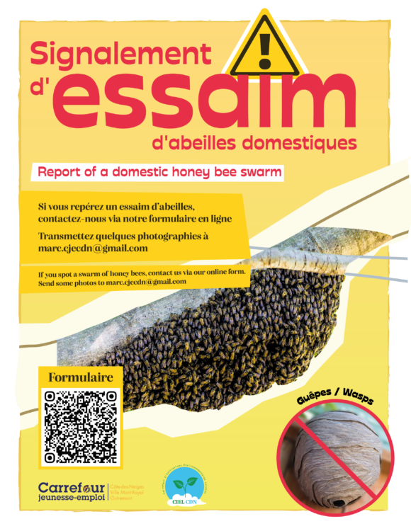 Signalement d’essaim d’abeilles domestiques